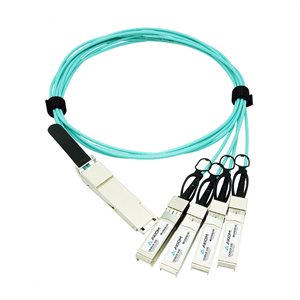 Axiom CABQQ100G-3M-AX Axiom Axiom CABQQ100G-3M-AX Axiom