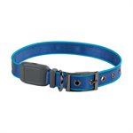 NITE IZE NiteDog Rechargeable LED Collar - M - Blue/Blue LED