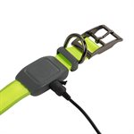 NITE IZE NiteDog Rechargeable LED Collar - L - Lime/Green LED