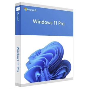 Microsoft Windows 11 ENG OEM Home 64bits Retail