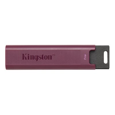 Kingston 1TB DataTraveler Max Type-A 1000R/900W USB 3.2 Gen 2 (Canada Retail)