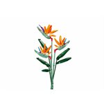 Sluban Construction blocs FLOWERS ORANGE STRELITZIA (BIRD OF PARADISE)