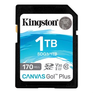 Kingston 1TB SDXC Canvas Go Plus 170R C10 UHS-I U3 V30 (Canada Retail)